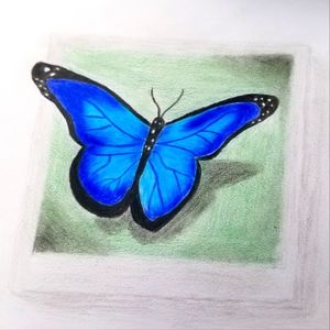 Meet your Posher, Sophie